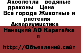 Аксолотли / водяные драконы › Цена ­ 500 - Все города Животные и растения » Аквариумистика   . Ненецкий АО,Каратайка п.